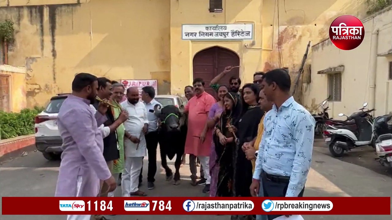 भैंस लेकर नगर निगम मुख्यालय पहुंचे पार्षद, बजाई...