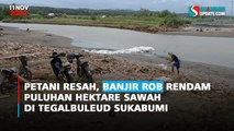 Petani Resah, Banjir Rob Rendam Puluhan Hektare Sawah di Tegalbuleud Sukabumi