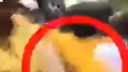 কলকাতা: &#039;মান&#039; রাখার চেষ্টা, কামড় কাণ্ডে ফুটেজ খুঁজছে মরিয়া লালবাজার