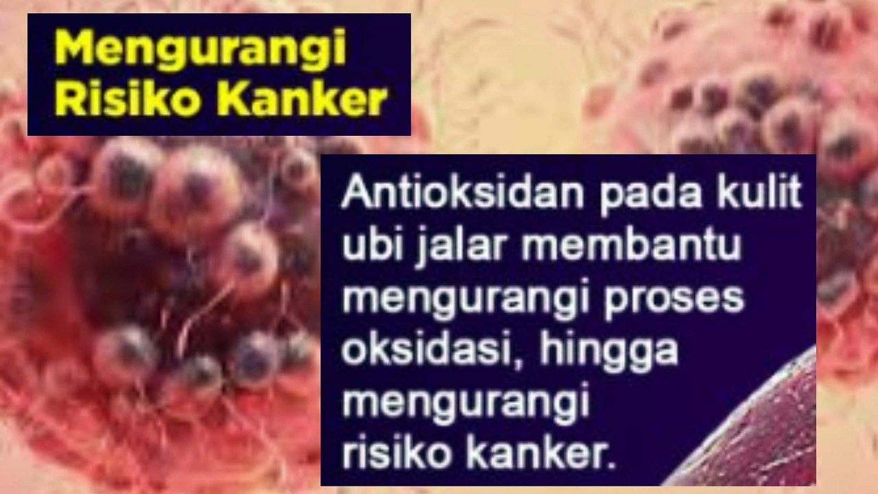 5 Manfaat Ubi Jalar, Salah Satunya Kurangi Kolesterol Tinggi yang sayang kalau dilewatkan