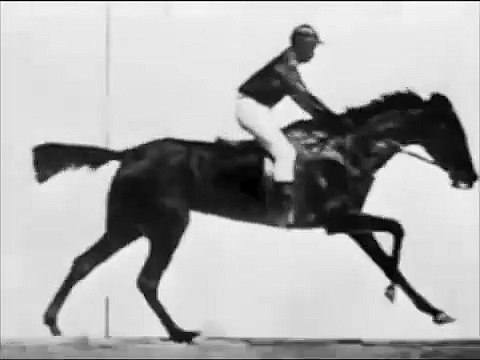 Sallie Gardner au galop Bande-annonce (PT)