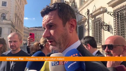 Manovra, Cia "Tutelare Made in Italy agroalimentare"