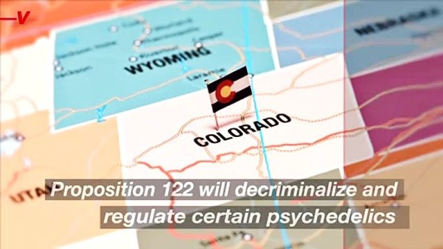 Colorado Legalizes the Use of Psychedelic Mushrooms