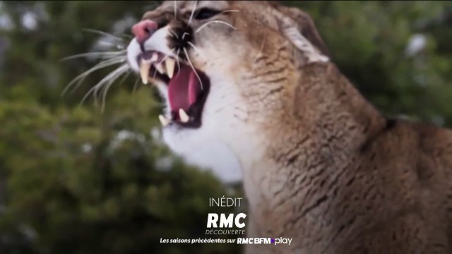 Seuls face à l'Alaska - 18 décembre