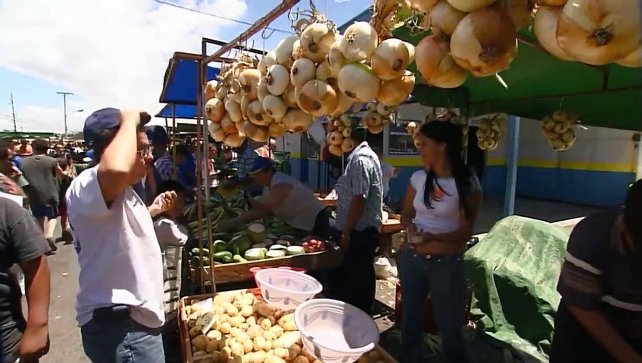 Costa Rica - Biodiversity in its most beautiful form