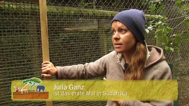 Wild Animals in South Africa Rescue Centres along the Garden Route