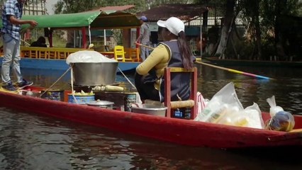 Animal's superpowers - The medicine of the future