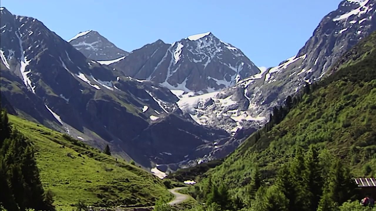 The Golden Eagle - King of the air with razor-sharp claws