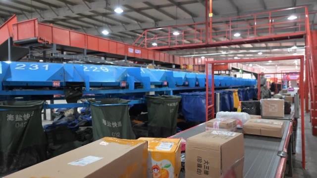 Çin'deki Çifte 11 Alışveriş Festivali, Küresel Markalara Fırsatlar Sağlıyor