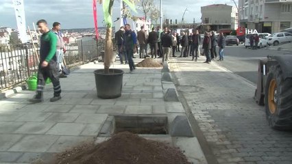 Arnavutköy'de 5 bin ağacın dikimi için start verildi