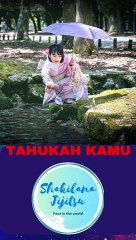 Kenapa jepang sangat bersih.