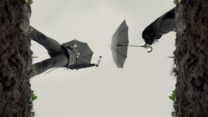 Pam Rabbit - zobrazeno