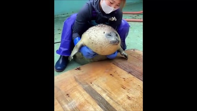 J'en peux plus des humains...