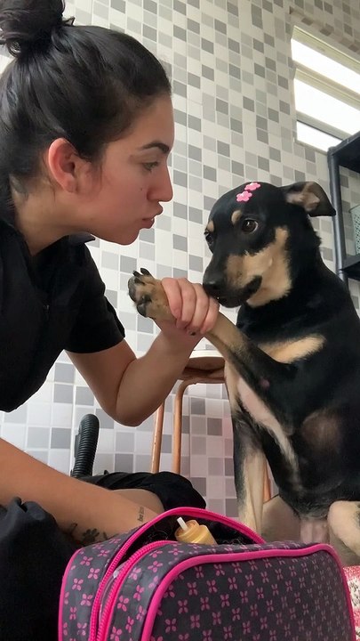 Dog Doesn't Want Its Nails Clipped