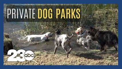App turns yard into private dog parks