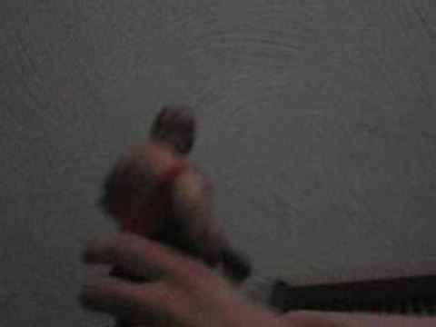 Vader confronts Hawk & Animal