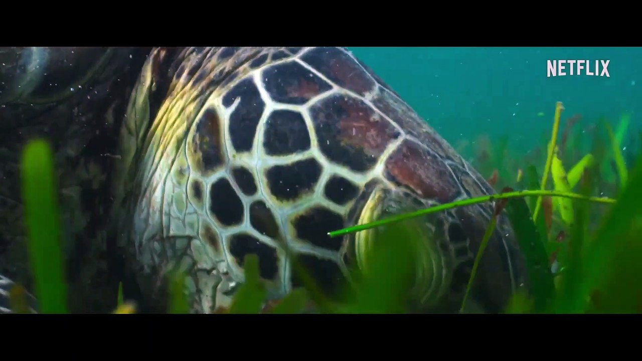 Our Universe | Official Trailer