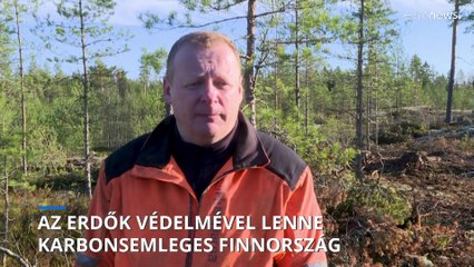 Az erdők védelmével lenne klímasemleges Finnország