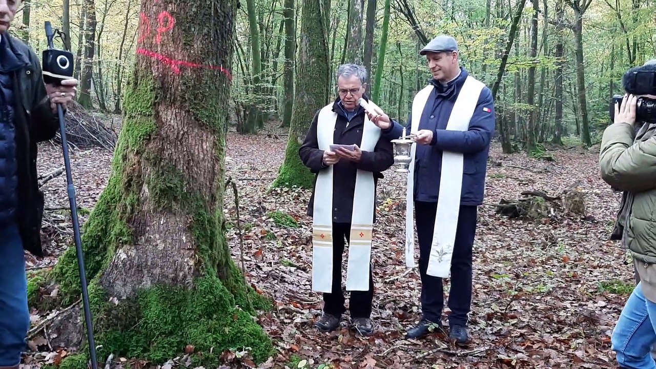 Orne : "J'ai déjà bénis des maisons, mais des arbres jamais !" : en forêt d'Ecouves, une cérémonie exceptionnelle