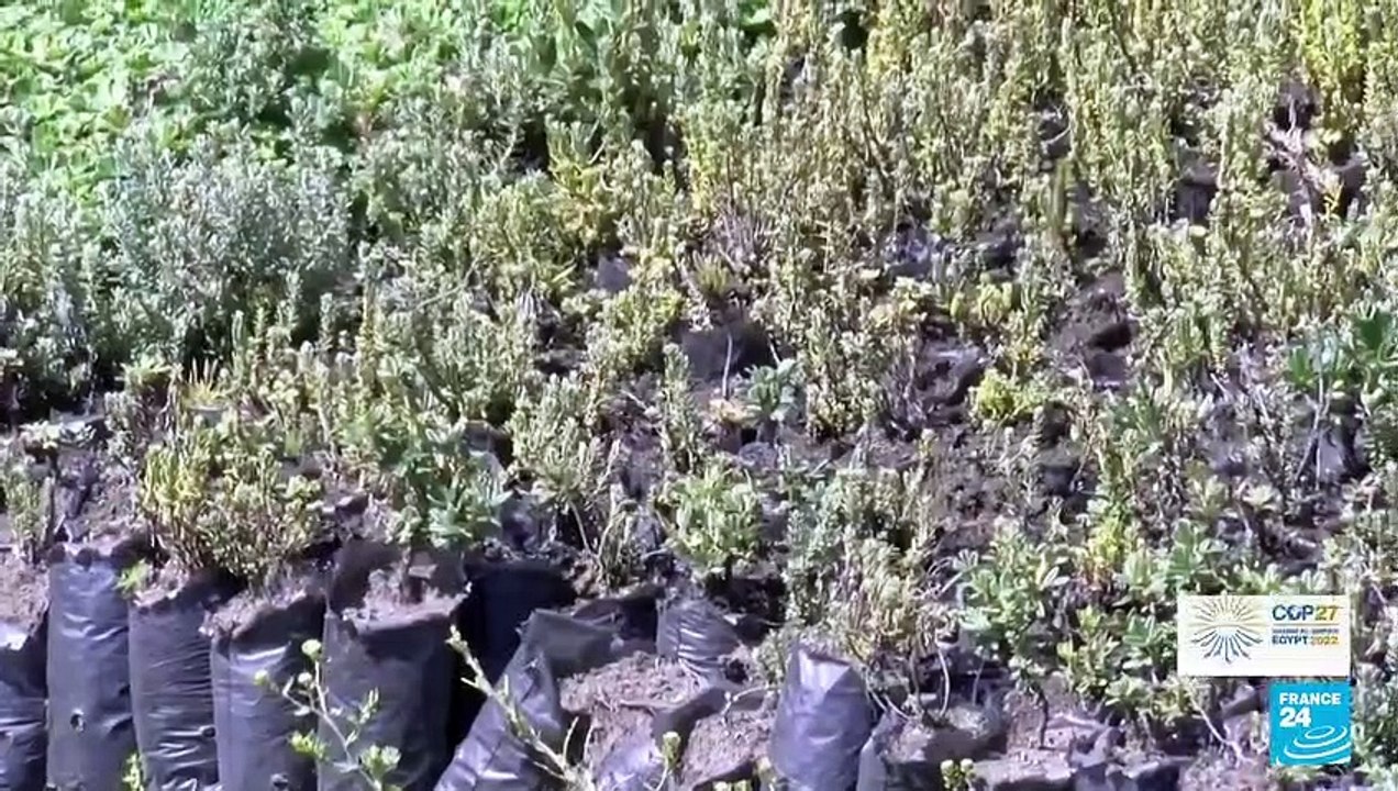 Deshielo de glaciares en Ecuador amenaza con dejar sin agua a  miles de personas (5/5)