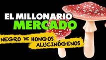 T1:E5 Comunidades indígenas podrían ser explotadas por negocio de h0ng0$ alucin0g3n0s