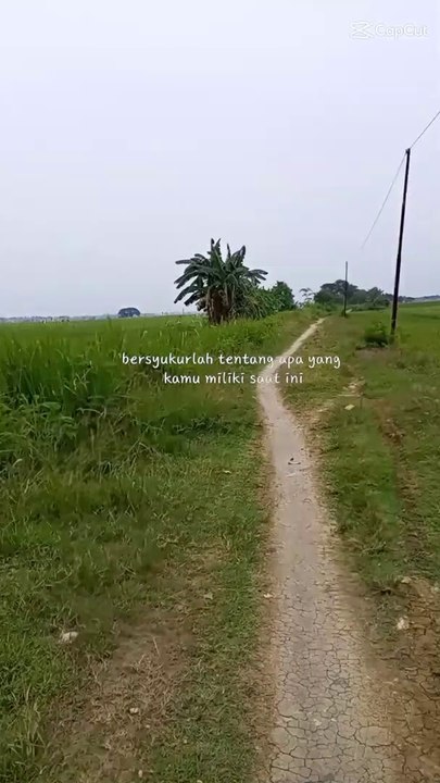 Bersyukur