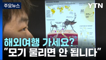 해외여행 늘자 뎅기열 급증..."모기 물리면 안 되요" / YTN