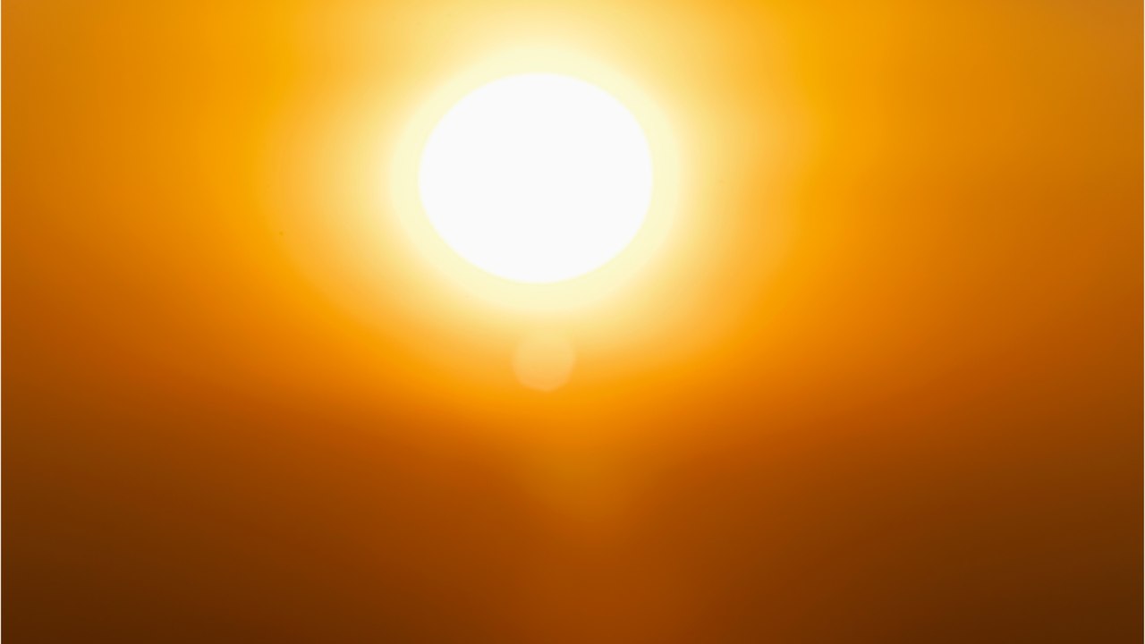 "Deutlich zu warm": Im November bleiben die Temperaturen häufig bei bis zu 20 Grad