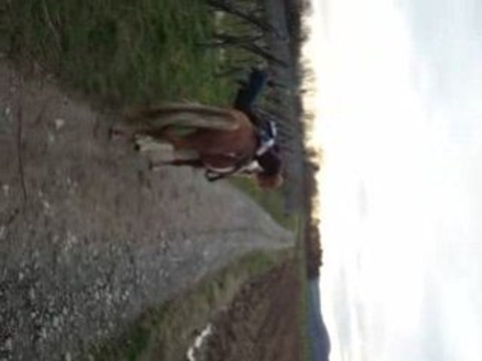voltige sur magnum par moi