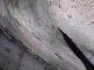 la maison hantée : partie III