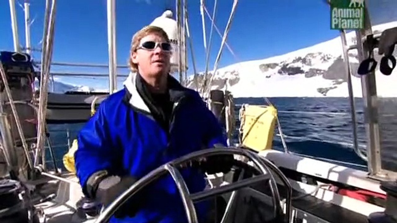 Crocodile Hunter Staffel 6 Folge 5 HD Deutsch