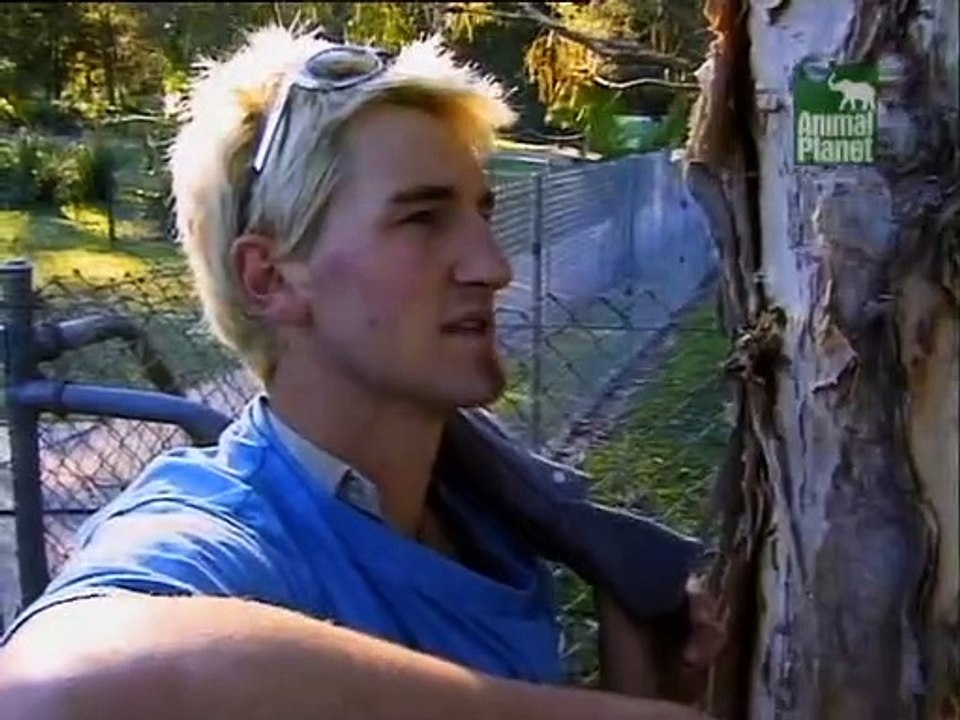 Crocodile Hunter Staffel 7 Folge 2 HD Deutsch