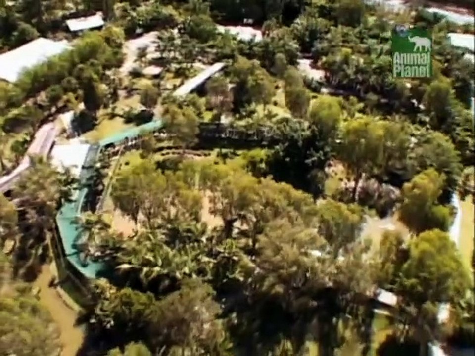 Crocodile Hunter Staffel 7 Folge 5 HD Deutsch