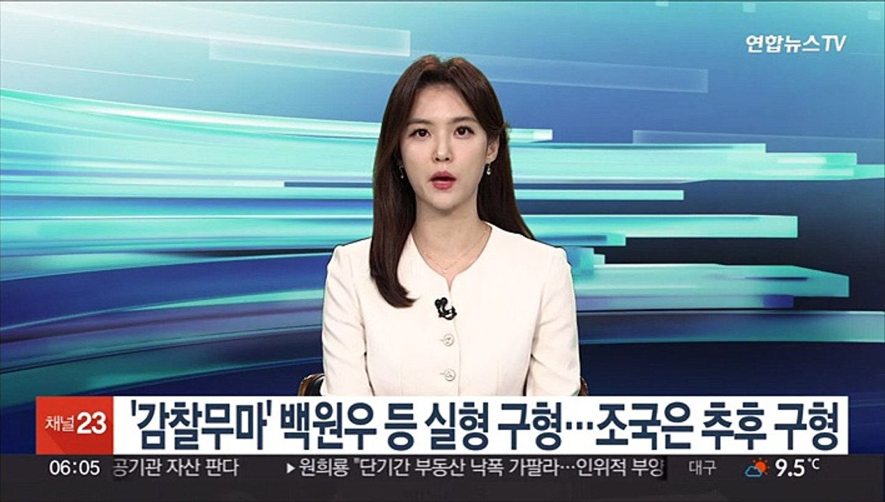 '감찰무마' 백원우 등 실형 구형…조국은 추후 구형