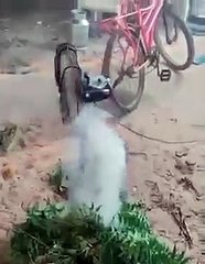 Watch Old Video Showing Innovative Way Of Fumigation Goes Viral #shorts #viral
