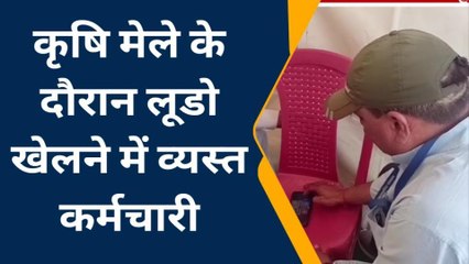 मुरैना : कृषि मेले में लूडो खेलते नजर आए कर्मचारी, सोशल मीडिया पर वीडियो वायरल