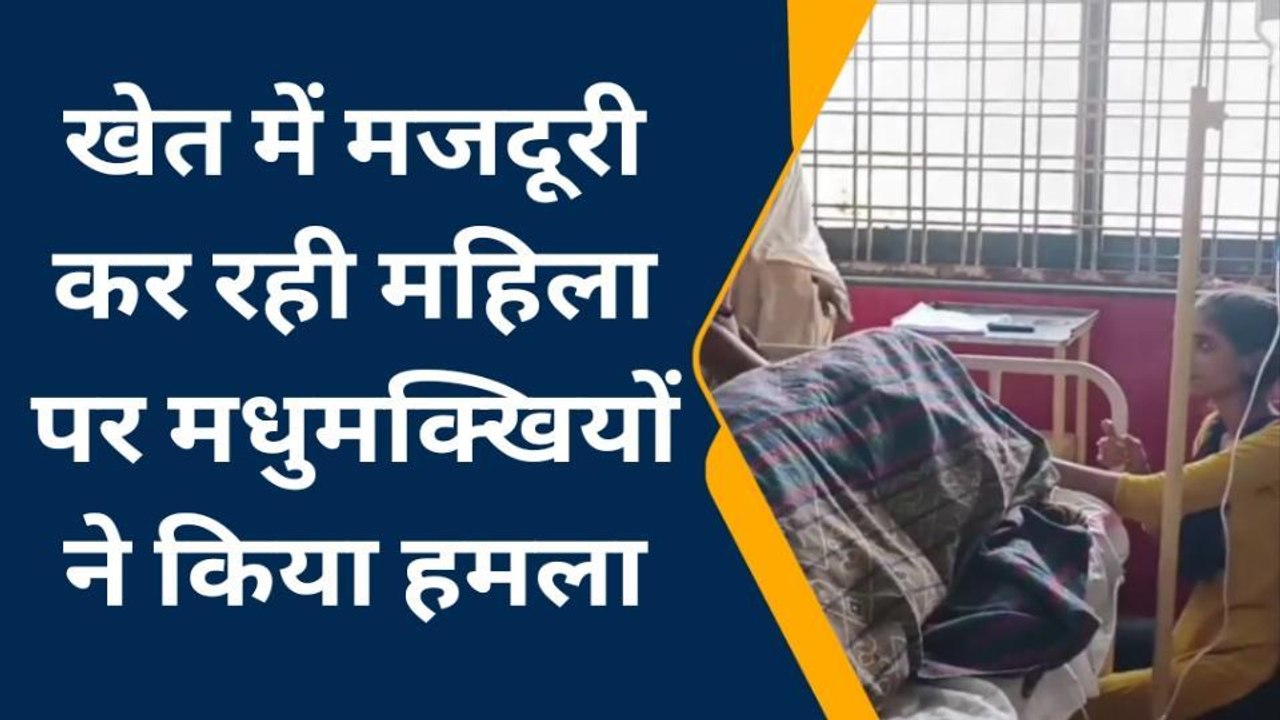 बुरहानपुर : खेत में मजदूरी करने गई महिला पर मधुमक्खियों ने किया हमला ,उपचार जारी