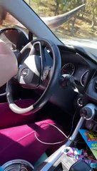 Les sœurs font un voyage stressant à travers un safari au volant - Buzz Buddy