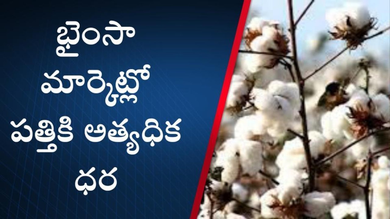 ముథోల్: నేడు మార్కెట్లో పత్తికి అత్యధిక ధర క్వింటాల్ రూ.9000