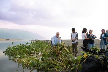 'SU SÜMBÜLÜ BÜYÜK FELAKETLERE YOL AÇAN TÜR, BİYOÇEŞİTLİLİĞİ YOK EDEBİLİR'