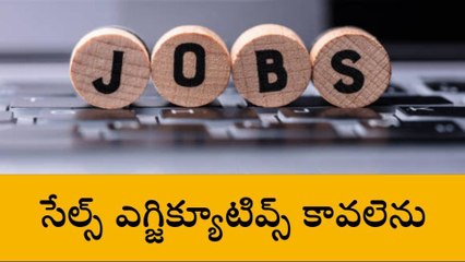 పల్నాడు: సేల్స్ ఎగ్జిక్యూటివ్స్... జీతం రూ. 25 వేల వరకు