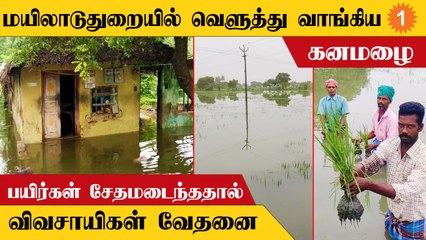 Скачать видео: மயிலாடுதுறை | குடியிருப்பு பகுதியில் தேங்கிய மழைநீரை அகற்ற உத்தரவிட்ட அமைச்சர்