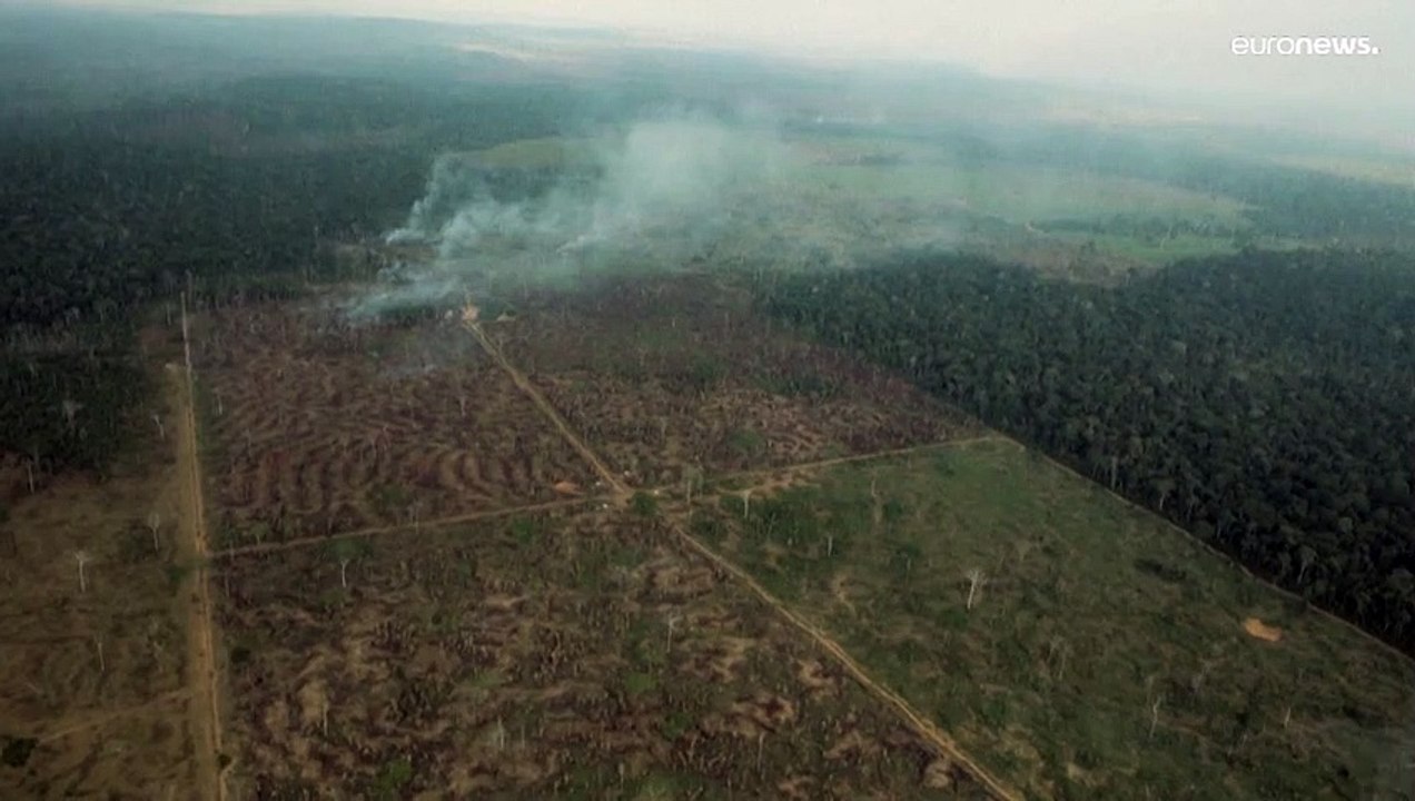 L'Amazzonia muore