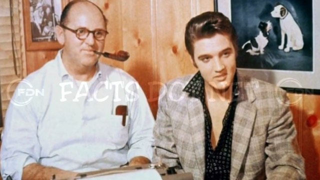 Did You Know? The Elvis's Hate Badges || FACTS || TRIVIA