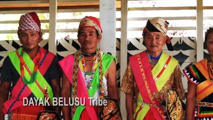 Jejak Petualang -  Suku Dayak Belusu