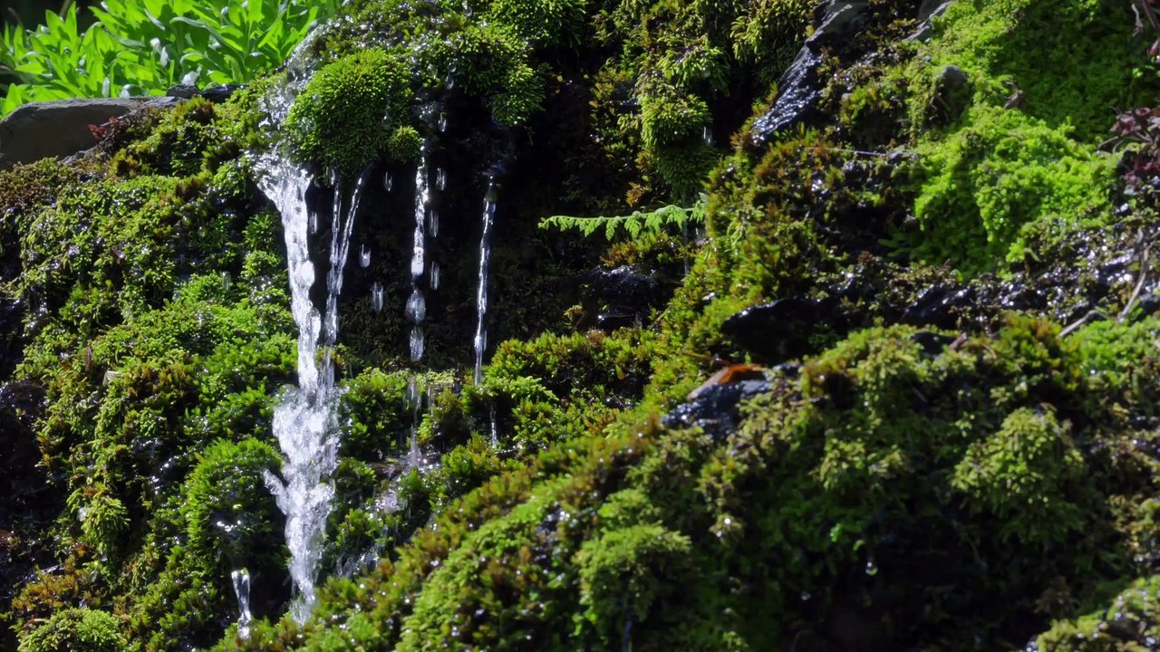 Earth's Great Rivers - Amazon