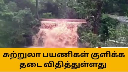 கல்வராயன் மலை பெரியார் நீர்வீழ்ச்சியில் கடும் வெள்ளப்பெருக்கு!