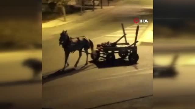 İstanbul'da yürek sızlatan görüntü! Hurda taşıdıkları arabayı çeken ata işkence yaptılar