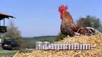 Die Rosenheim Cops - Staffel 8 Folge 19 - Der Tod aus dem All