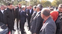 ÇANAKKALE -  AK Parti Grup Başkanvekili Turan, Çanakkale'de zeytin hasat şenliğine katıldı